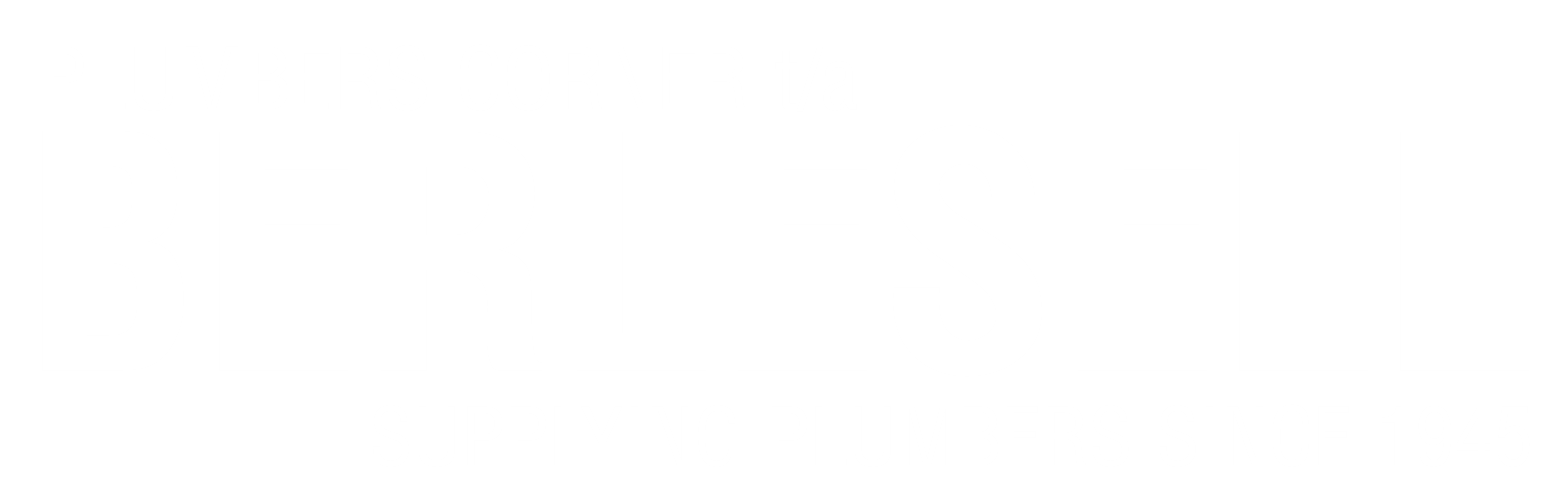 How Do I Write My Paper? BERLESELL